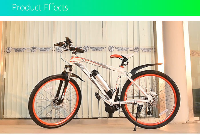 High Efficiency Easy Installation 350W MID Motor Electric Bike Conversion Kits for Sale