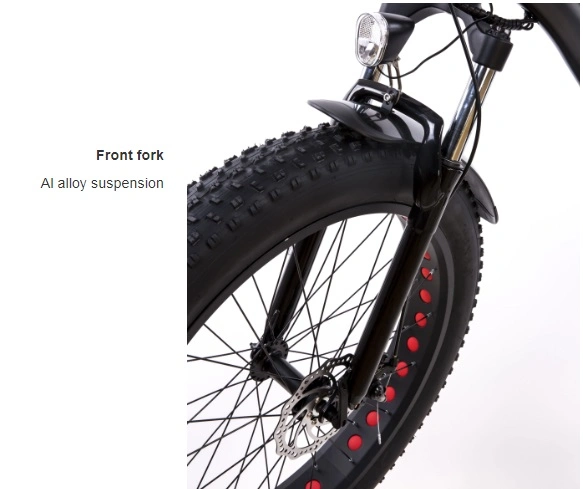 Aluminum Alloy Frame Intelligent Pedal Assistant Fat Tire Ebike Electric Beach Snow Bicycle Bikes