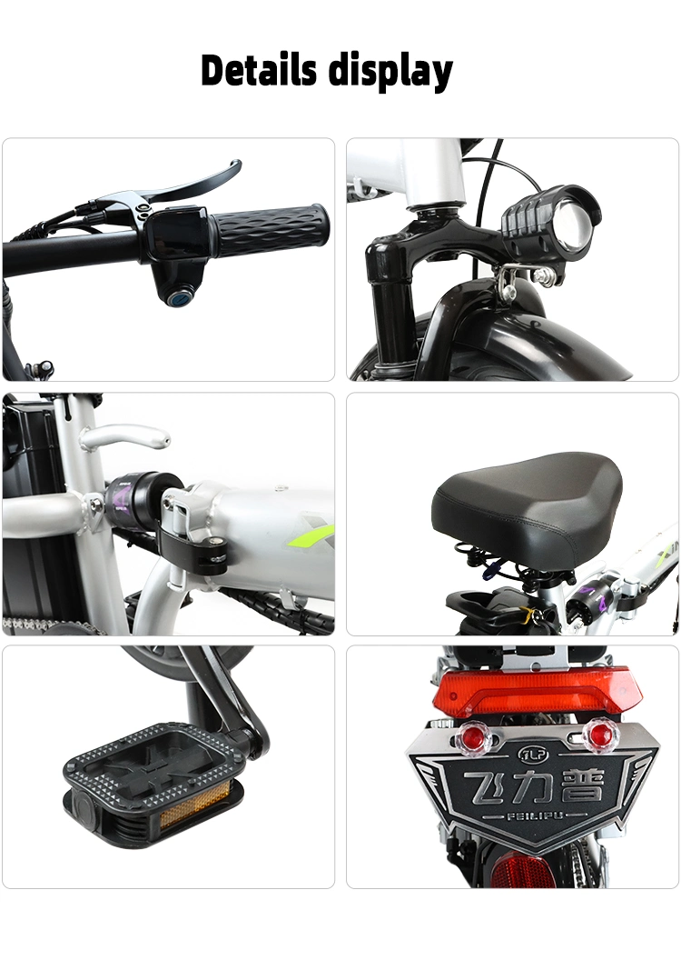 Newly Designed Shock Absorber 350W 48V Electric Folding Bike Bicycle