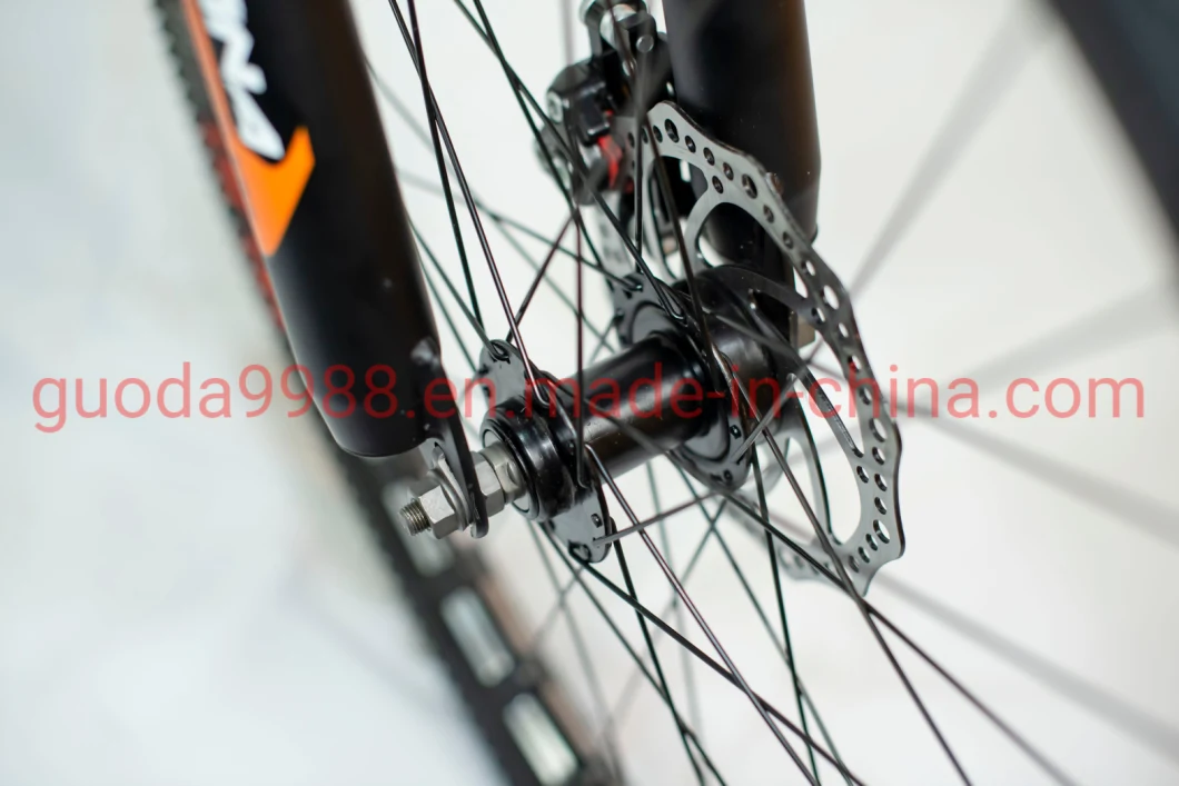 China Manufacturer Outdoor Bicycle New Design Bike Mountain Bike