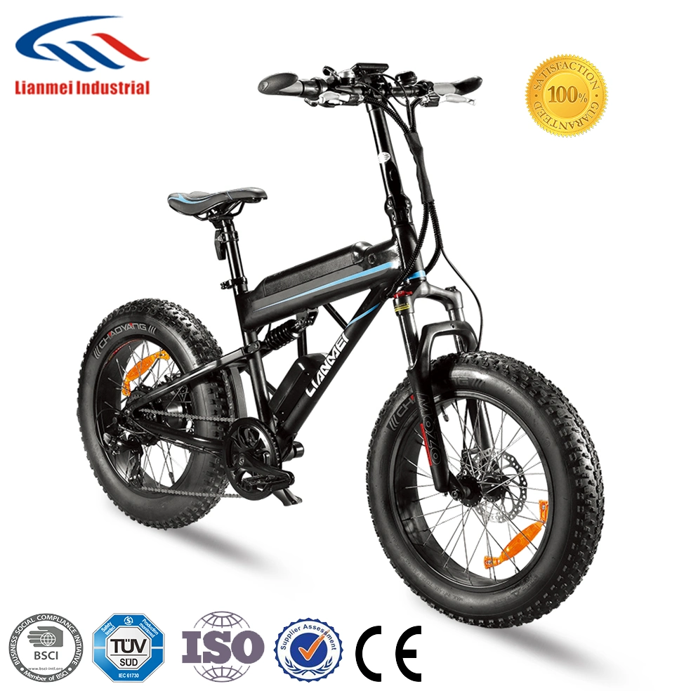 Electric Bike Bafang Motor High Power