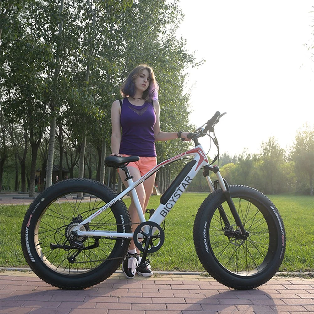 Cheapest Powerful Electric Bicycle Mountain Bike Fat Tire Electric MTB Bikes with 26 27.5 29er