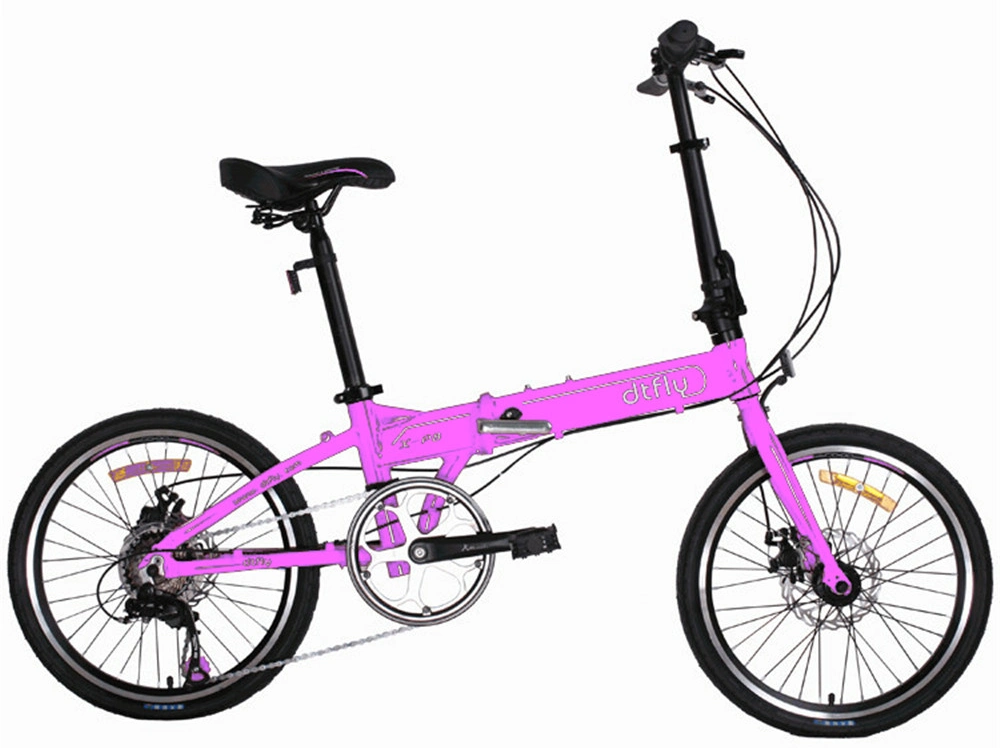 24 Inch Wheel Folding Bike/24 Speed Folding Bike