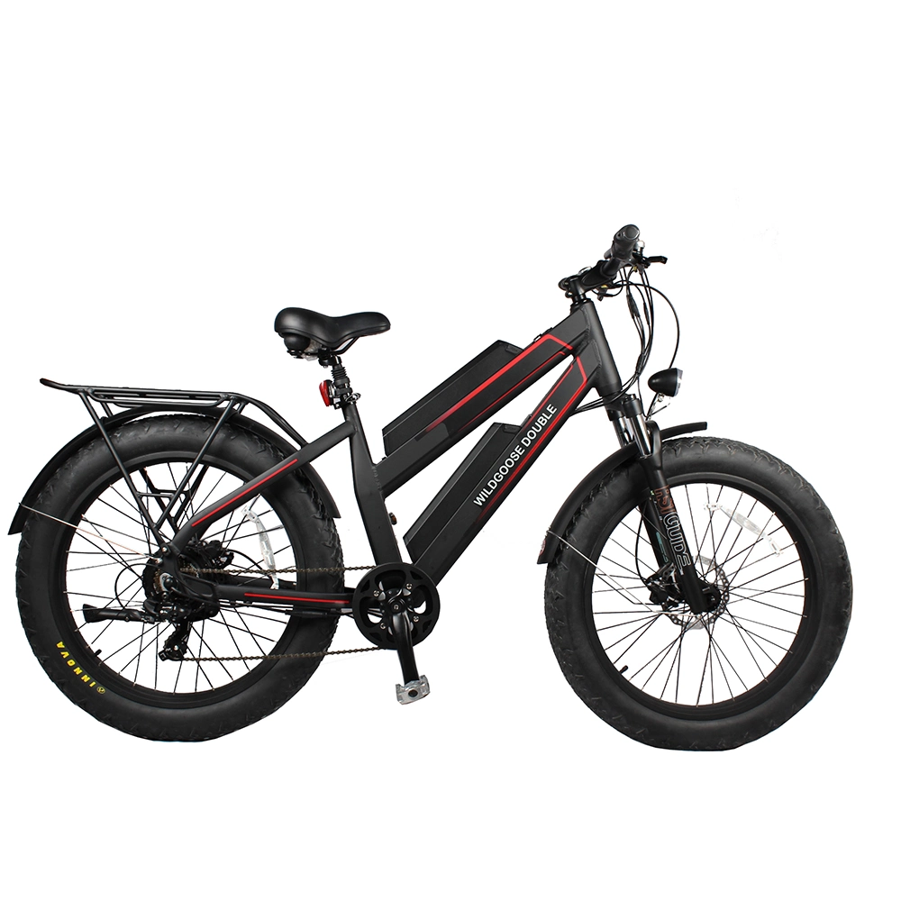 48V 1000W Dual 11.6ah Lithium battery Electric Bike Bafang Rear Hub Motor Electric Motorbike