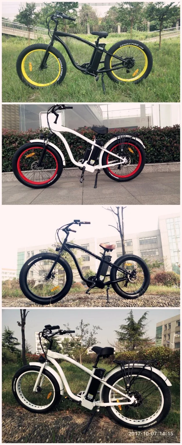 2016 New Style Electric Bikes with Fat Tire