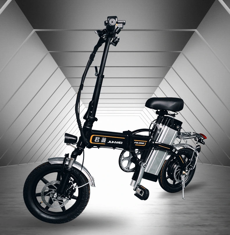City Powerful Adult Fold Electric Bike with Two Wheel