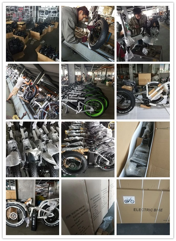 Wholesale 48V 1000W Bafang Motor Full Suspension 20