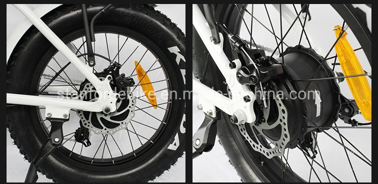 Mountain 48V Fat Tire Bicycle MTB Road Bike Motor E Bike Electric Bicycle for Adult Ebike