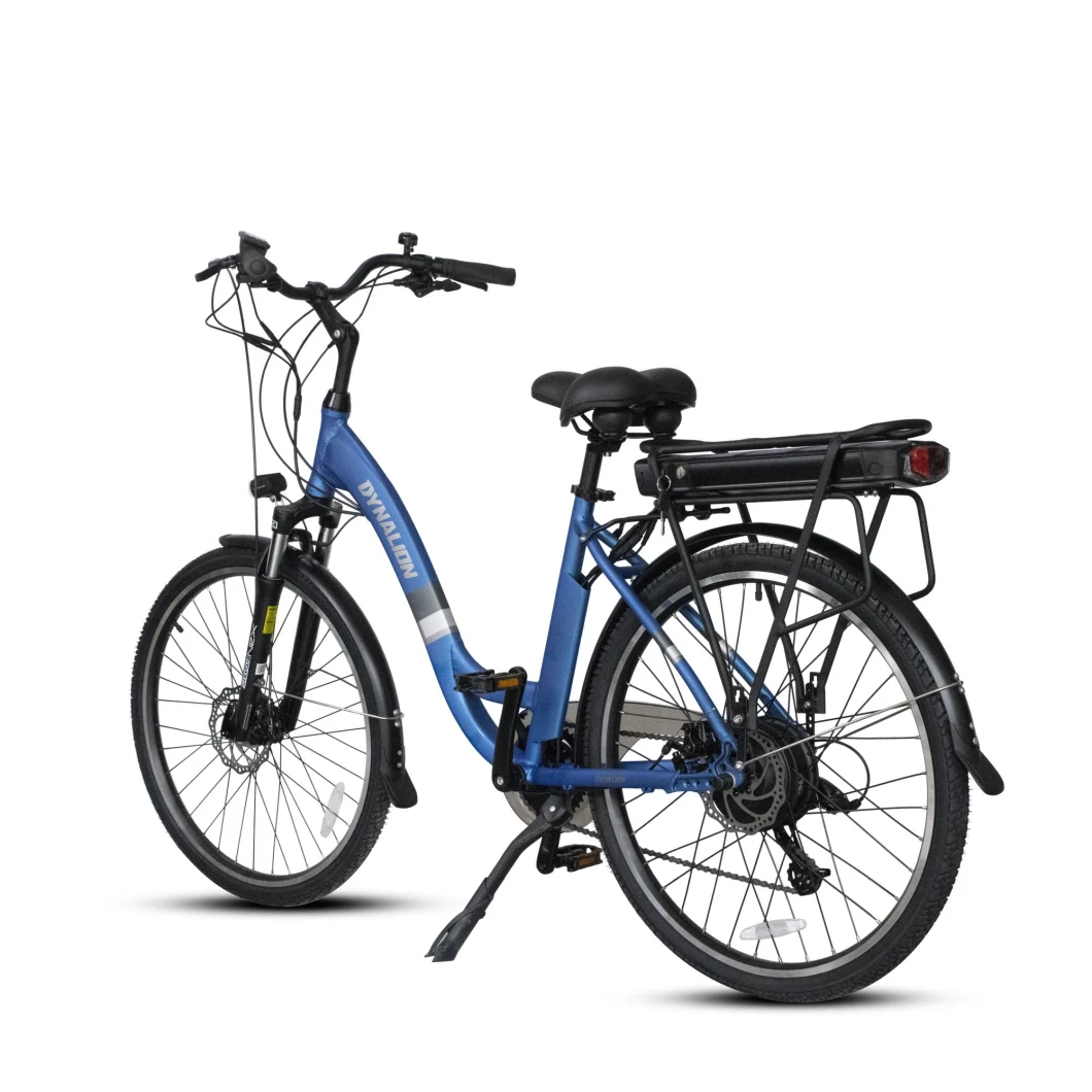 Ebike for Lady Ebike for Street High Speed City Electric Bicycle