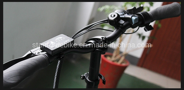 High Quality China 15ah Electric Bike 48V 500W Electric Bicycle Mountain Bike