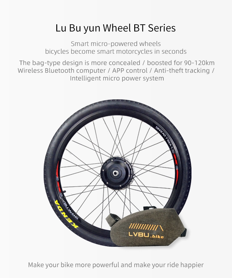 Lvbu Wheel Bt40d Hot Sale Hidden Power Electric Bike Kit E-Bike Conversion Kit with Battery
