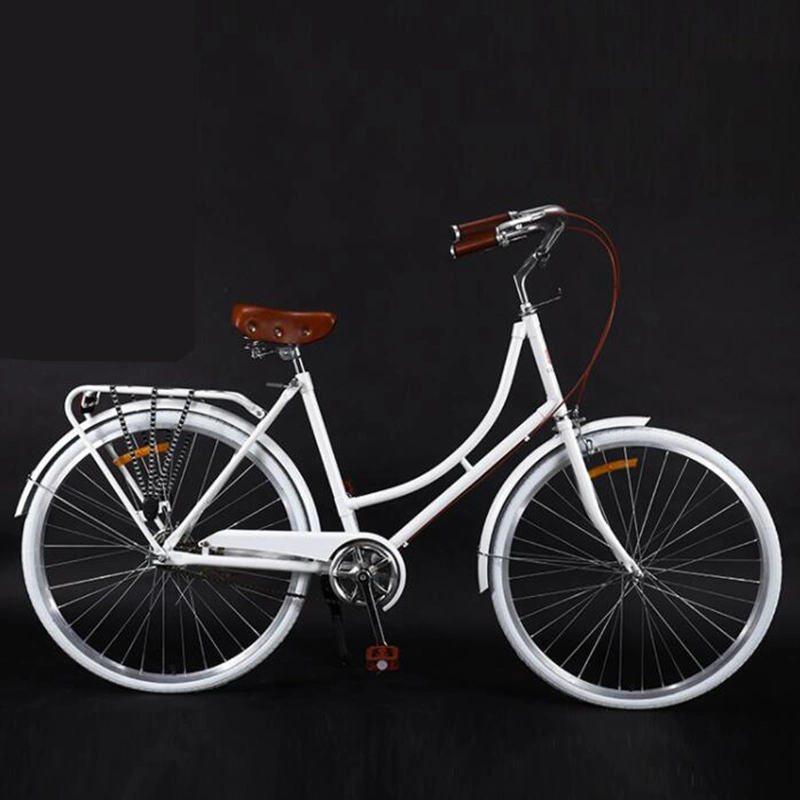 Retro 26 Inch Lady Bike Carbon Steel Frame Gooseneck Stem Sealed Bottom Axis City Riding Daily Working Bicycle Safety Durable Steel Retro City Bike Esg15125