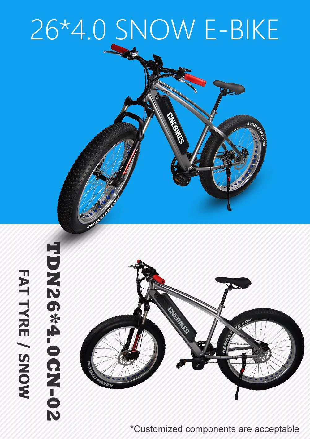 Bafang MID Motor 750W Electric Fat Tire Bike with Battery