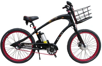 Cool Mountain E Bike Bicycle Electric E Bike with Shimano Nexus Derailleur