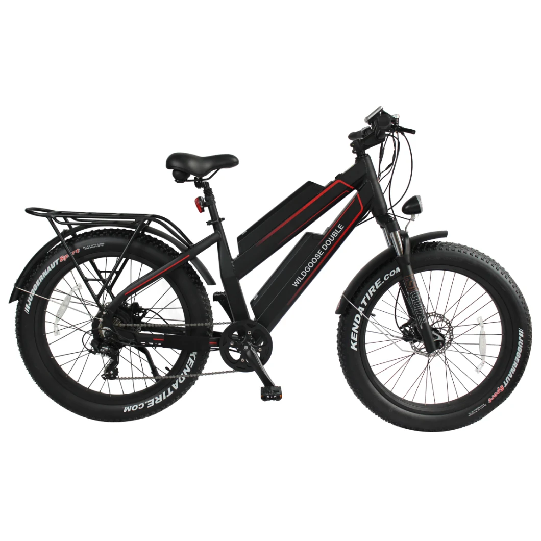 Electric Bike Retro Fat Tire Chinese Electric Bike for Sale