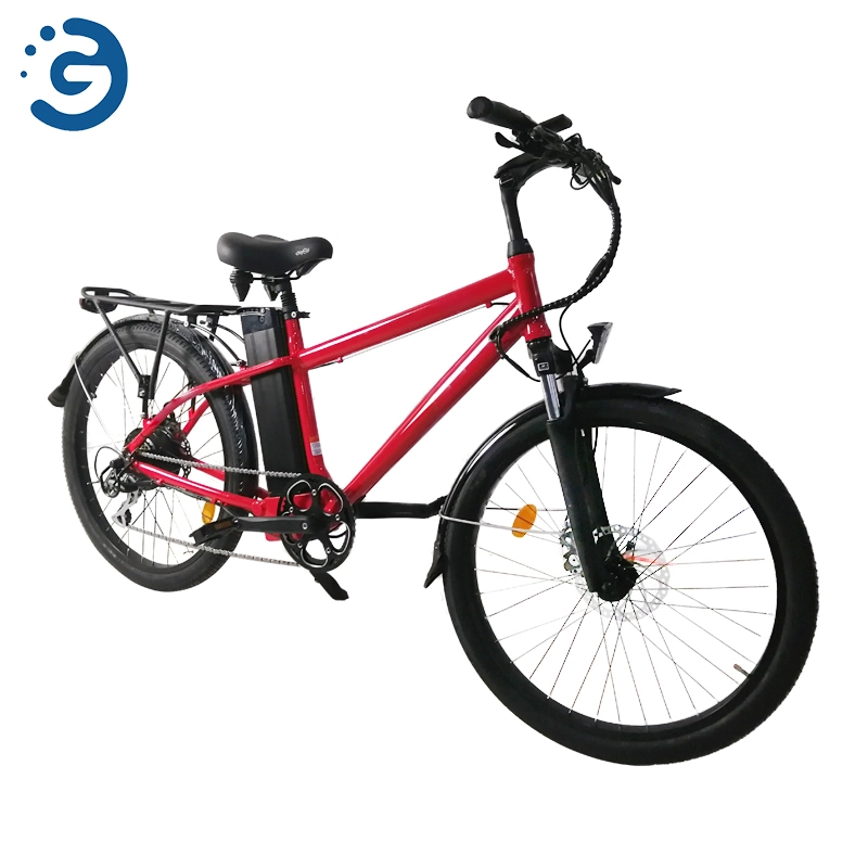 New Style Electric Bike Factory Wholesale Steel High Quality Best Price Mountain Bike for Adult