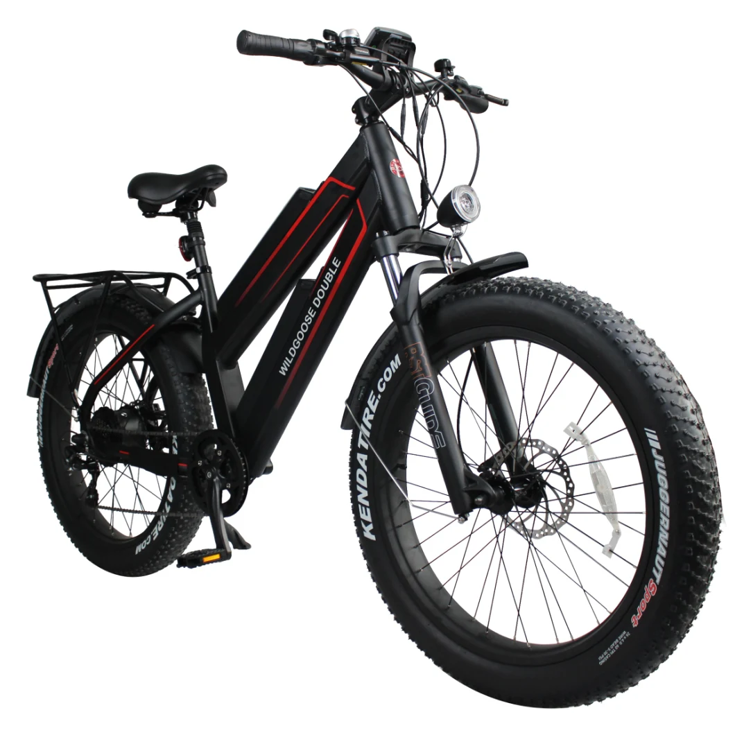 Electric Bike Retro Fat Tire Chinese Electric Bike for Sale