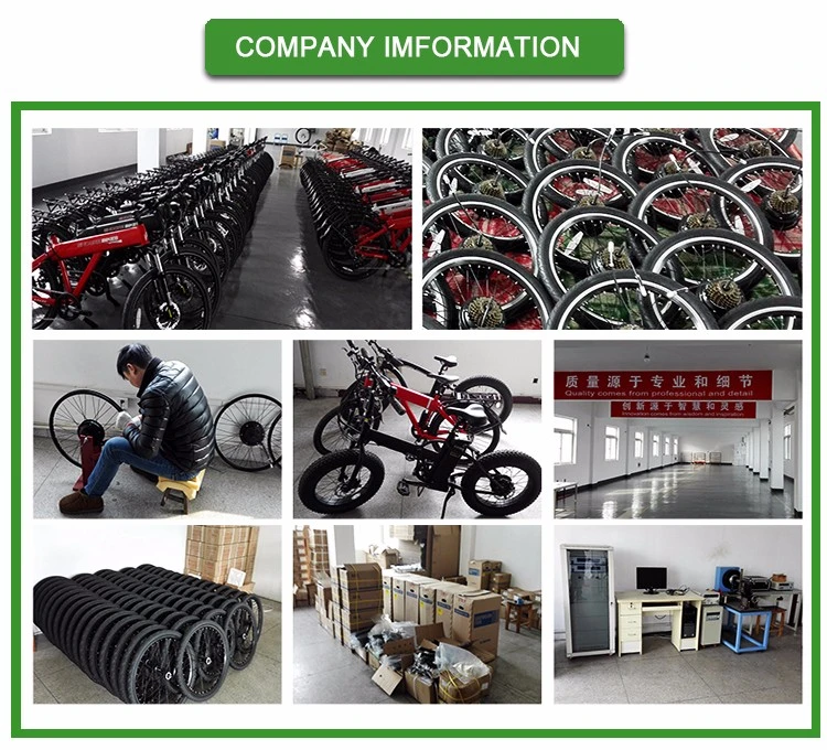 China Ebike Factory Ncyclebike Hot Sale 36V 500W Conversion Kit