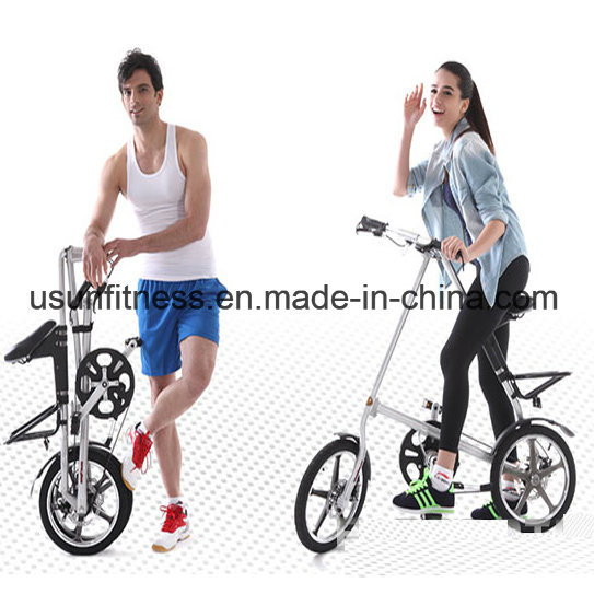 Factory Aluminium Wheel Folding Bike Foldable Electric Bicycle Motor Scooter Bikes for Adult