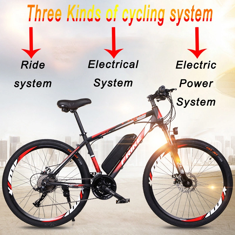 Fatory Price Powerful Electric Bike on Sale