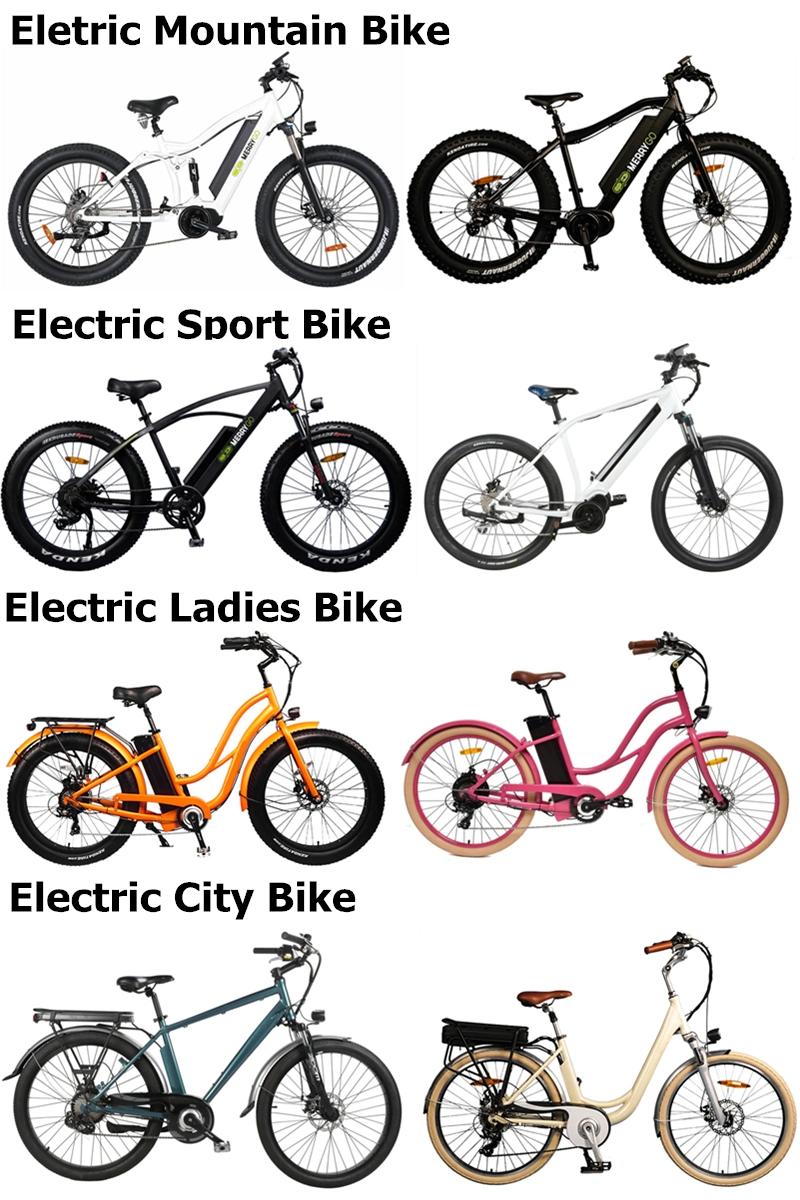 China Factory Electric Fat Tire E Bike Electric Mountainbike 27/28/29 Inch Mountain Bike