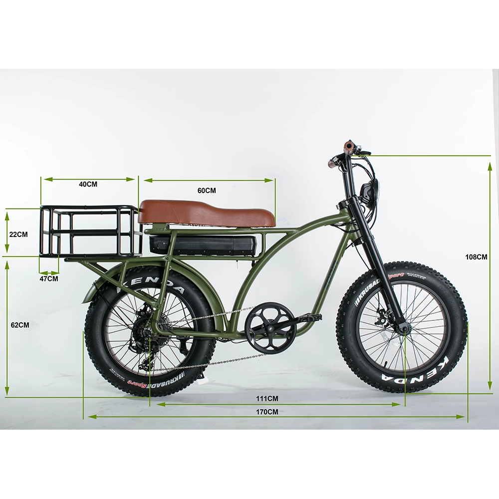 20 Inch Fat Bike in Electric Bicycle Full Suspension E Bikes 500W Electric Bike Mz-249