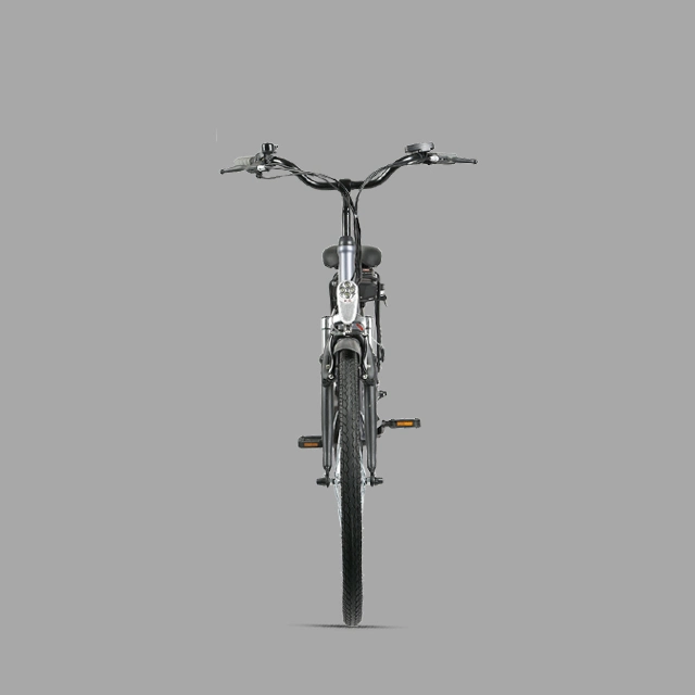 Lady Electric Mountain Lithium Pedal Assistant Motor Power Electric Bike /Ebike/E-Bike/E-Bicycle