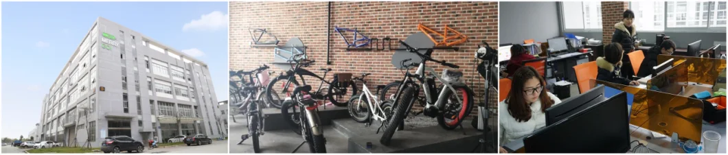 Factory Sale China Electric Bike Mountain 48V