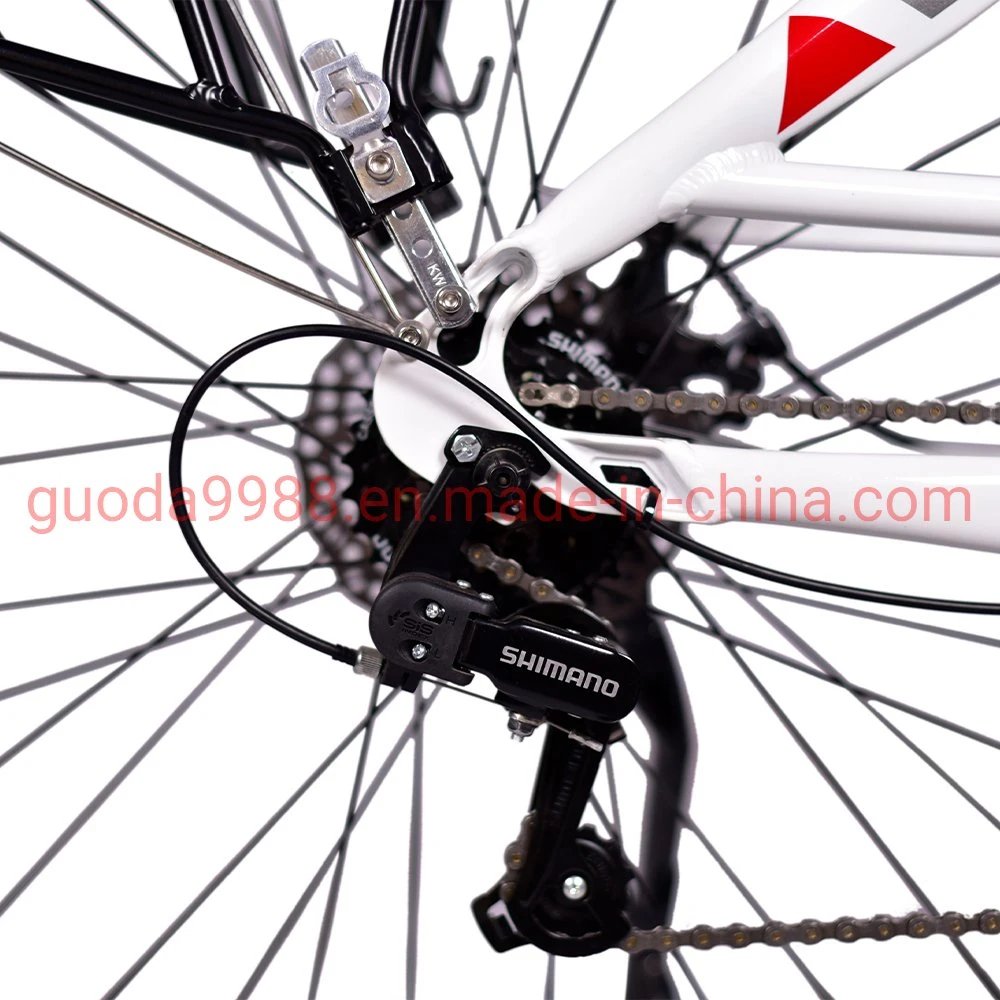 High-Quality City Electric Bicycle Electric City Bike City E Bike