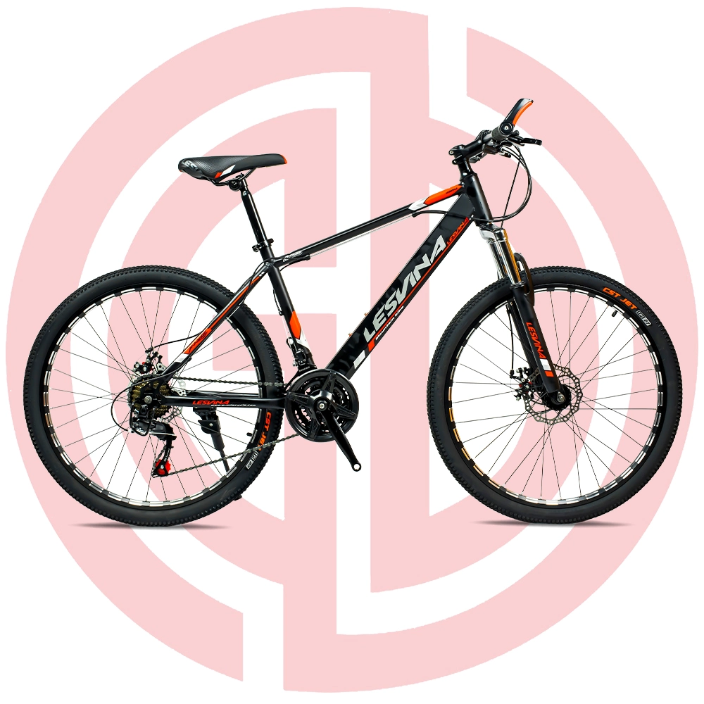 China Manufacturer Outdoor Bicycle New Design Bike Mountain Bike