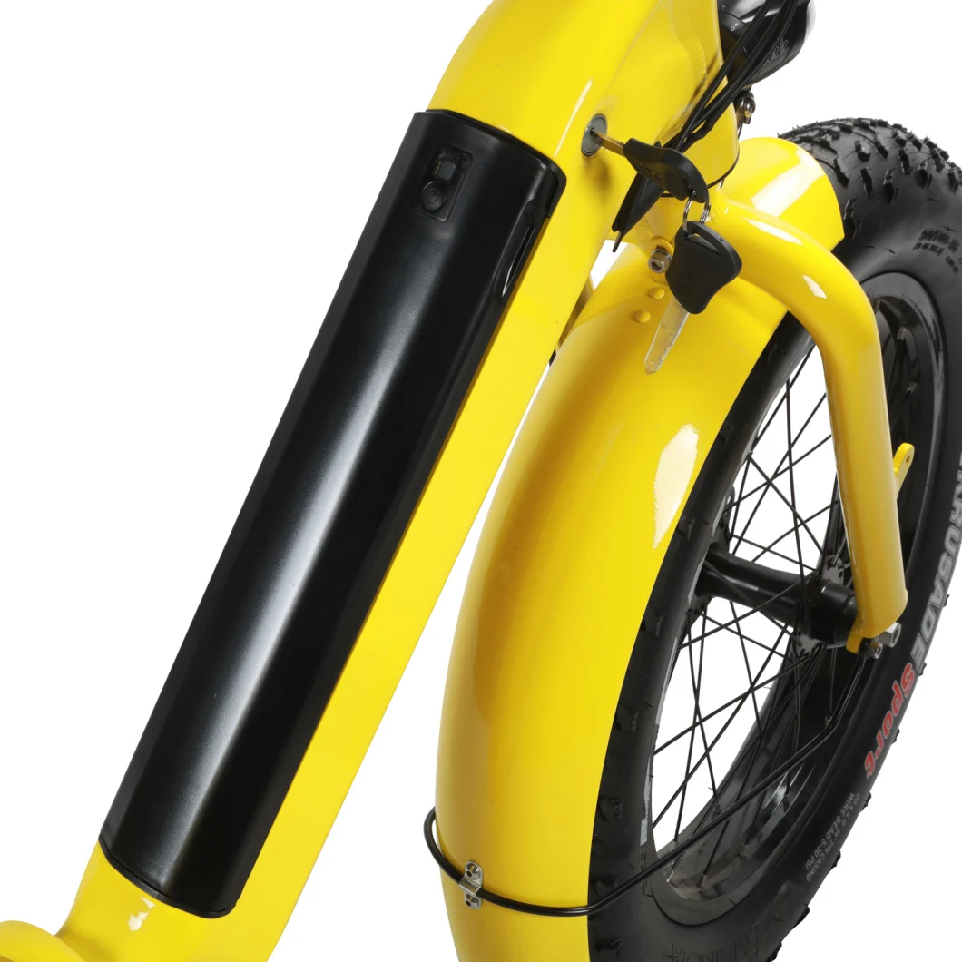 20 Inch Folding Ebike/ Folding Electric Bike Mini Bicycle
