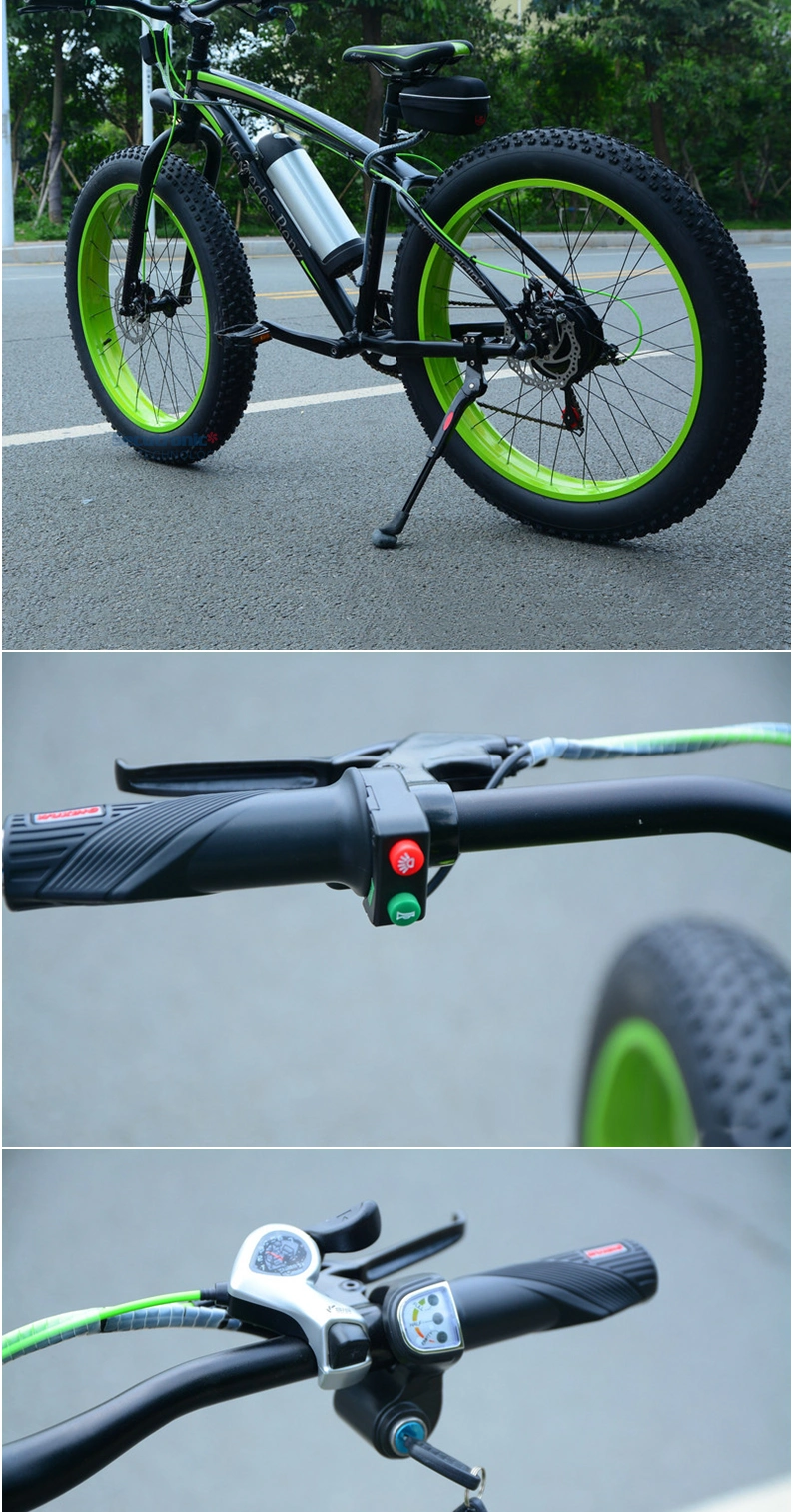 Ebike Manufacturer Hot Sale Customized Motor Fat Tire Mountain Electric Fat Bike