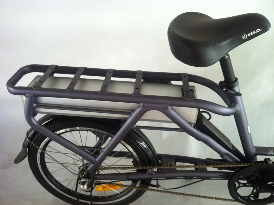 20 Inch Cargo Electric Bike for Delivery/ Cargo Bike Can Be Customized Jb-Tdn03z