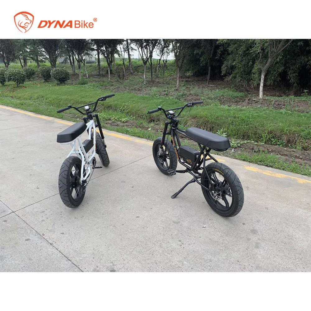 48V 750W Bafang Motor Fat Bike 2020 Electric Bike Fat Ebike