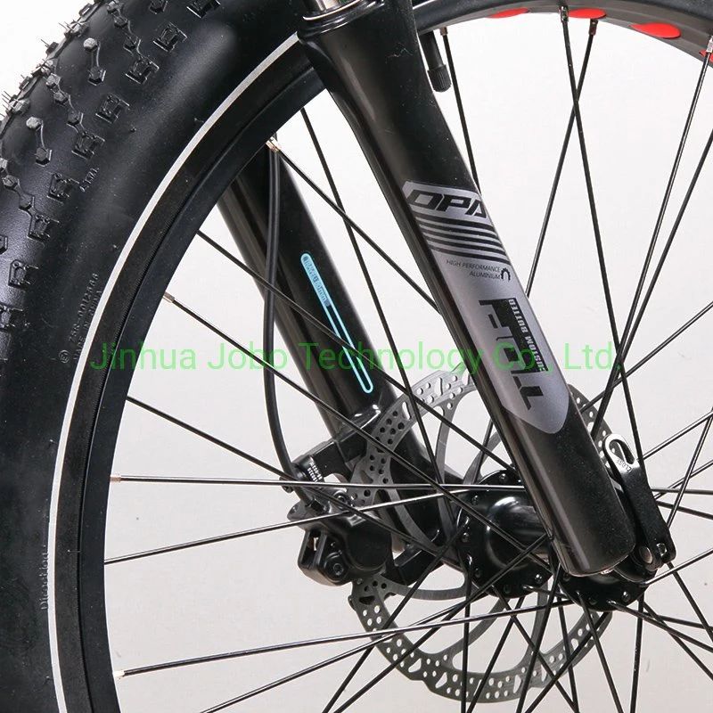 Electric Fat Bike Full Suspension with Bafang M600 Drive