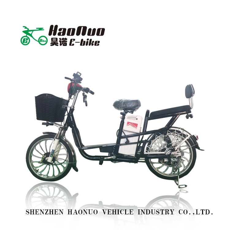20 Inch 48V 350watt Electric Bike with Pedal Assistant for Lady