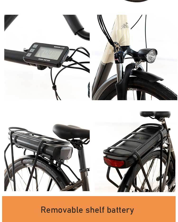 Ebike/700c Electric E Lady City Bike/Italy Model Road Electric E Bicycle in Classic Series