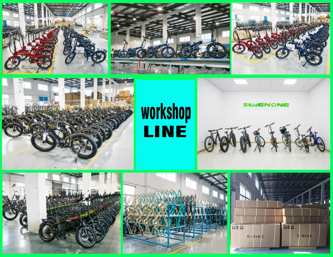 Made in China Road City 36V 350W Electric Bikes with Bafang Motor
