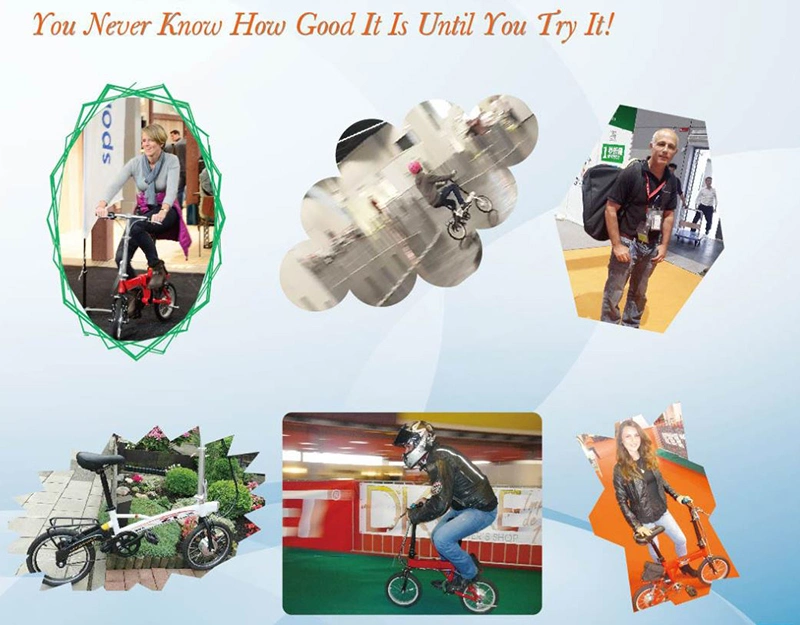China Wholesale Outdoor Mini Light Weight Folding Ebike with Lithium Battery Brushless Gear Hub