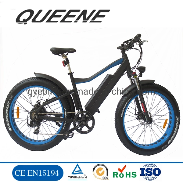 Queene/Lady Ebike 48V 350W 500W Adult City / Road Electric Bicycle