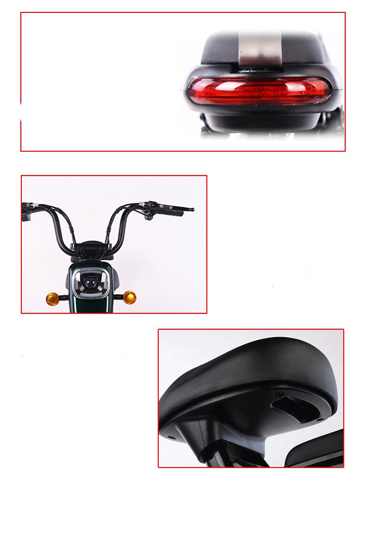 Electric Dirt Bikes for Adults 48V 350W Vintage Electric Bicycle