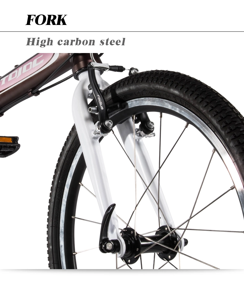 Wholesale Folding Bike 20 Inch OEM Mini Foldable Bicycles