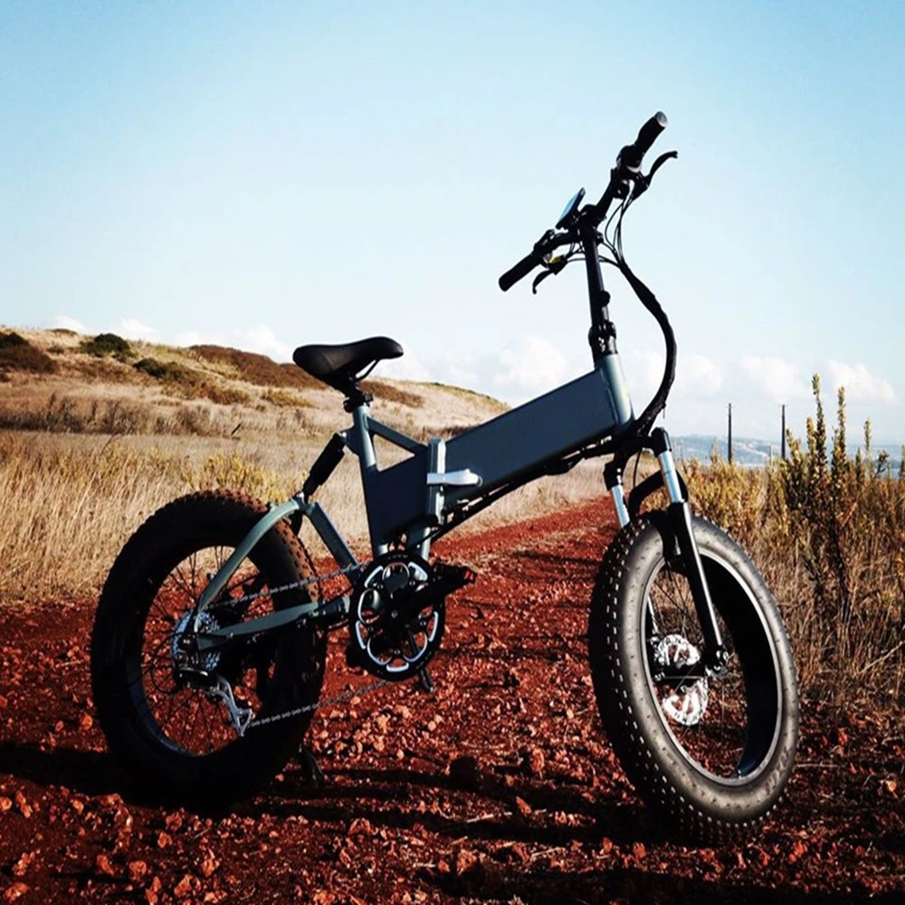 Full Suspension Electric Fat Bike Fat Tire Bike Electric Fatbike 20