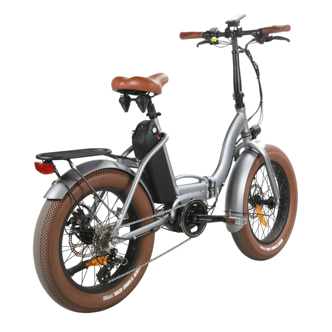 48V MID Drive Electric Folding Mountain Bike Bike/ Hub Motor Electric Bicycle