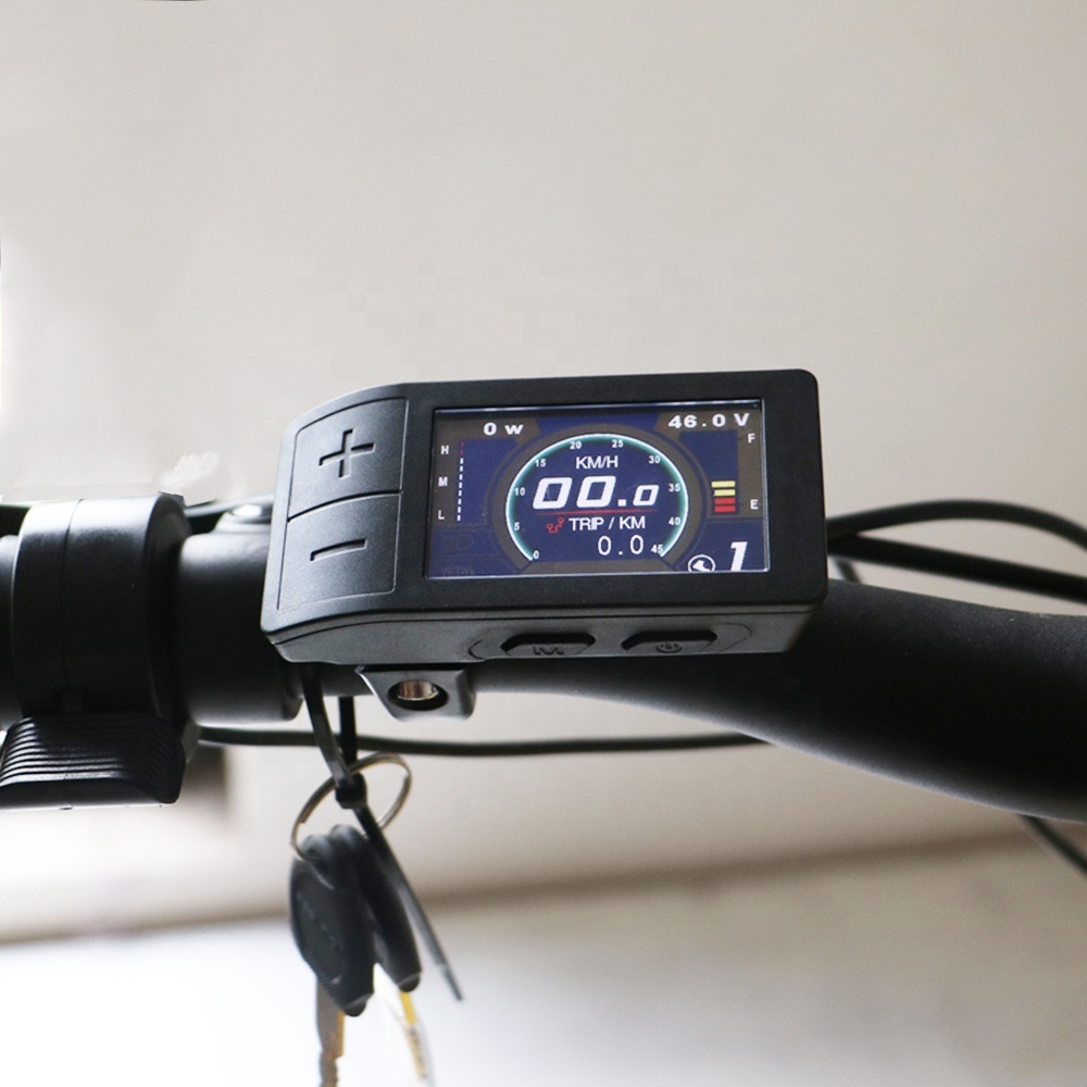 Bike Bicycle Folding Electric Bike 500W with Battery Mz-353