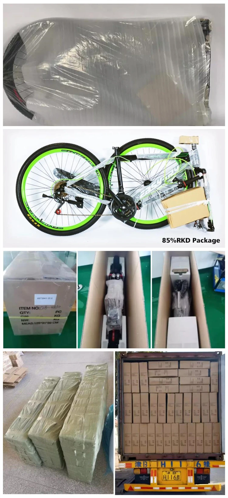 20 Inch 250W/350W/500W Folding Fat Tyre Electric Bike