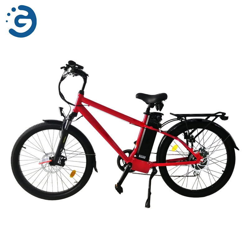 New Style Electric Bike Factory Wholesale Steel High Quality Best Price Mountain Bike for Adult