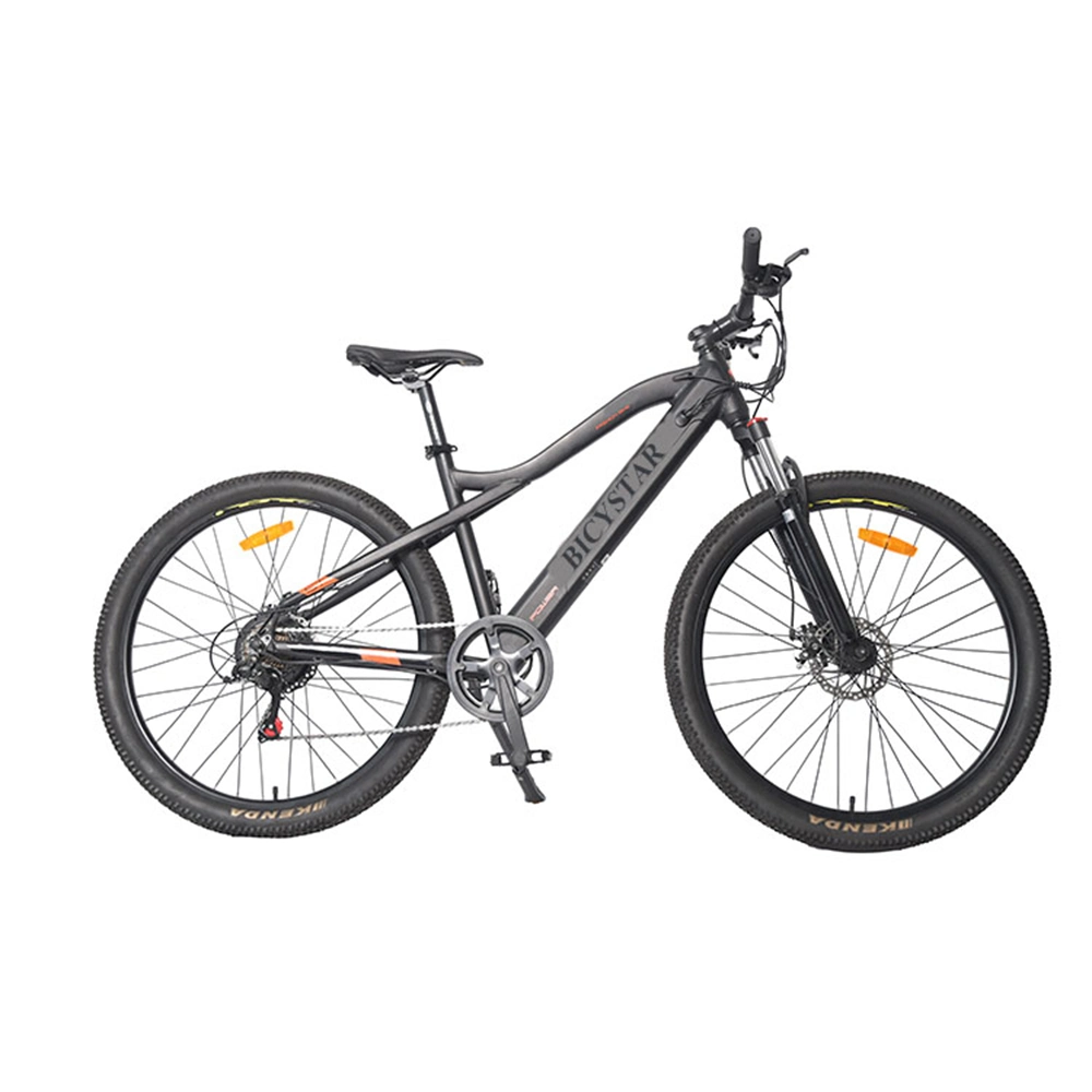 Electric Bike 350W 48V/Electric Bike 48V 750W/Electric Bike 48V 20ah