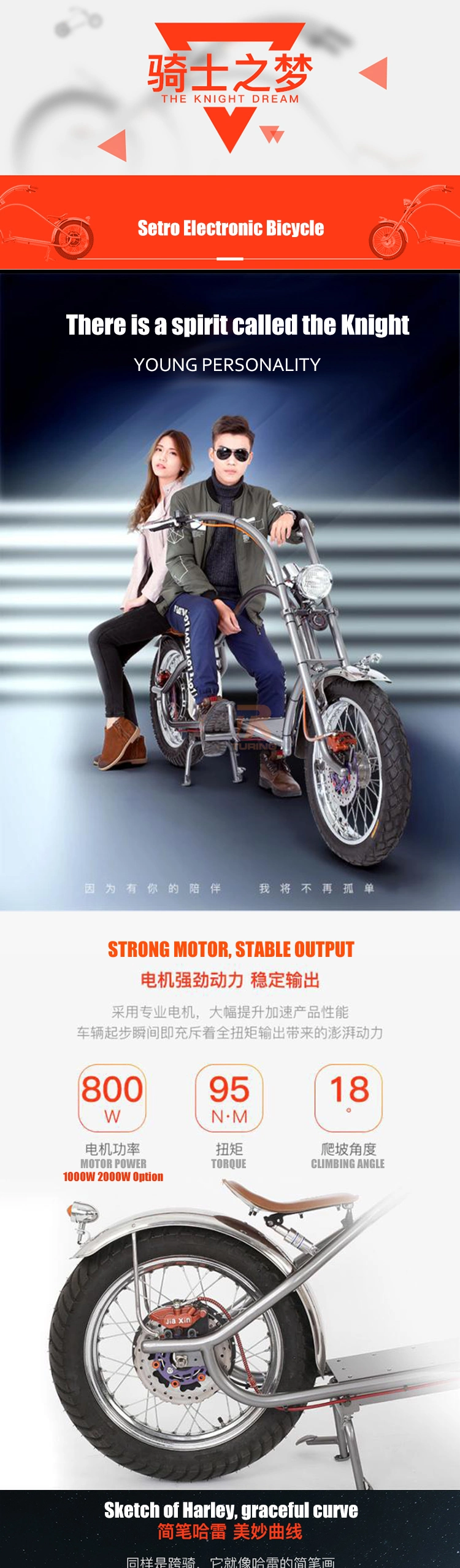 Vintage Chinese Factory Customizable Classical Retro Style Cruiser Ebike Moped