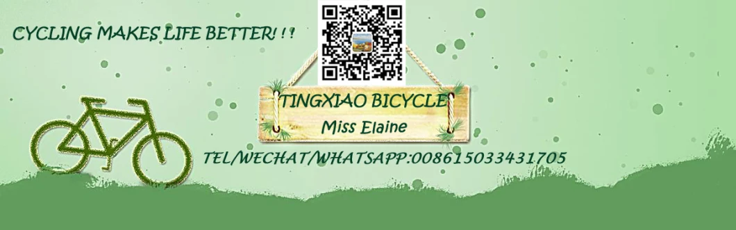 Road Bike / City Bike/Old Vintage Bike/Bikes Dutch Bicycle Beach Cruiser Bike/ Lady Travel Bicycle